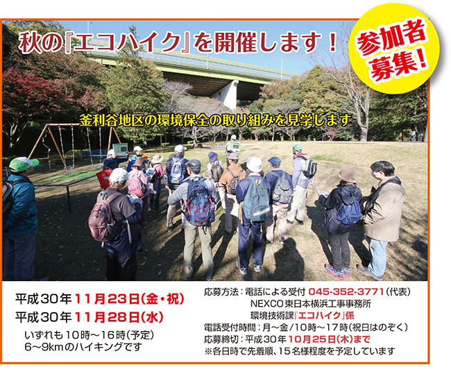 エコハイク