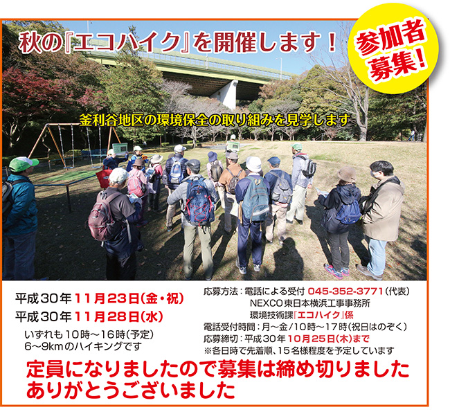 エコハイク