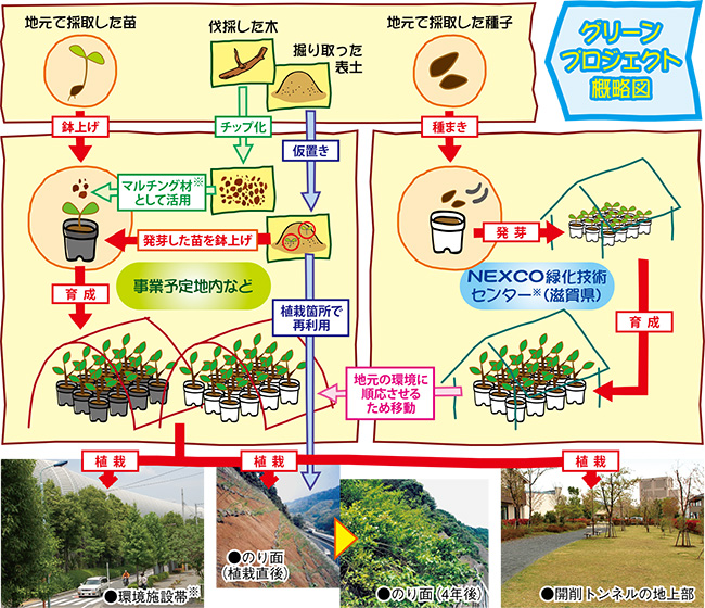 グリーンプロジェクト概略図