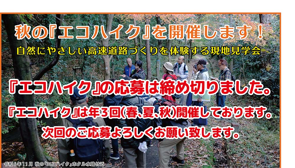 エコハイク