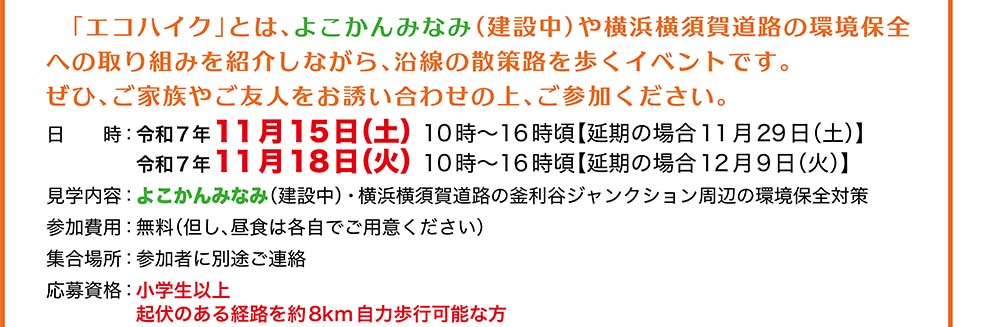 エコハイク