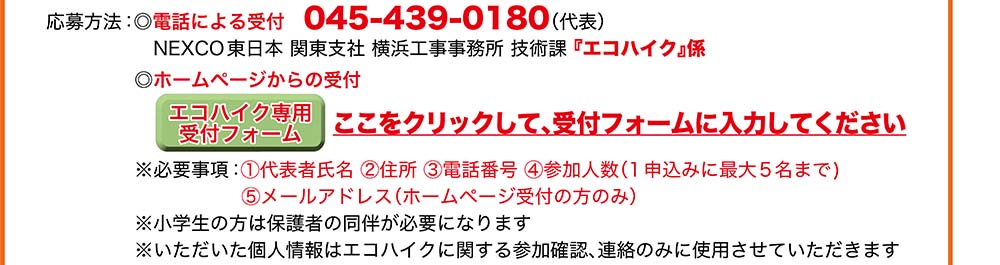 エコハイク