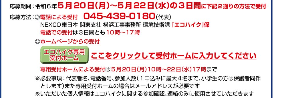 エコハイク