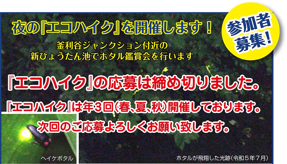エコハイク