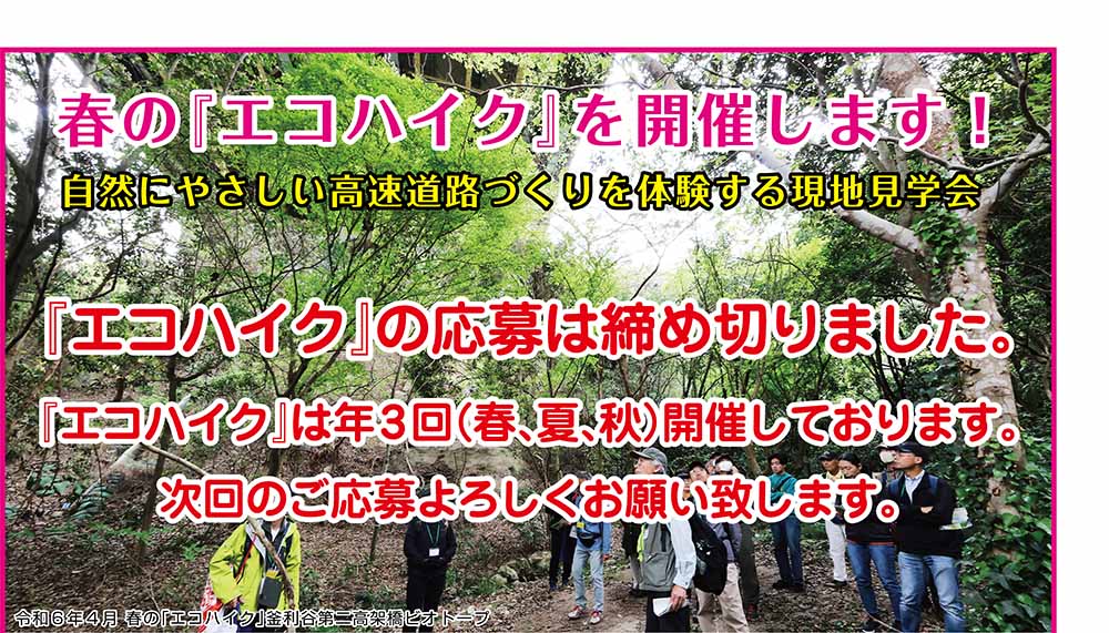 エコハイク