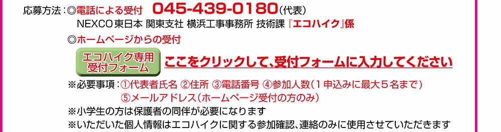 エコハイク
