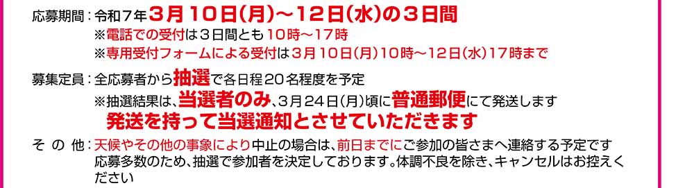 エコハイク