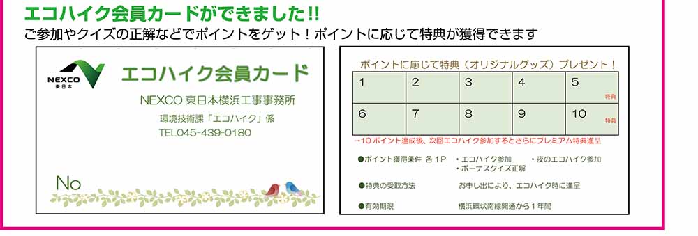 エコハイク