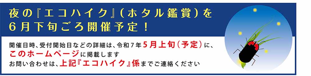 エコハイク